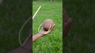 Coconut Creations with mojo #Bamboo #coconut #Diy #Bambooart