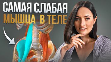Из-за ЭТОЙ мышцы постоянно БОЛИТ ПОЯСНИЦА | 4 УПРАЖНЕНИЯ, чтобы это исправить