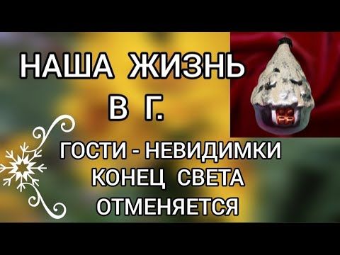 Обзор‼️ Наша жизнь в Германии // Гости-невидимки⁉️ Конец света отменяется‼️