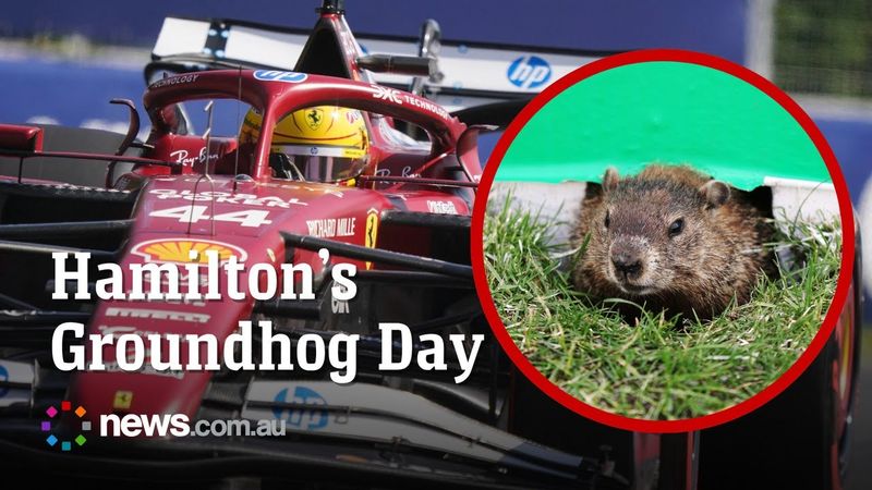 'Devastated' Hamilton's chances ruined by Groundhog