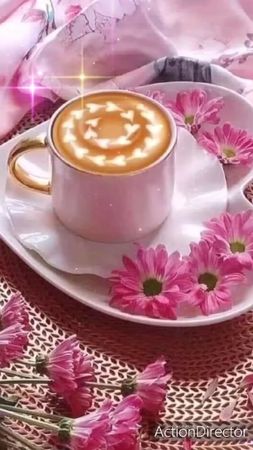 TikTok video #7066993361269394689