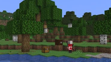 News in Minecraft 1.21.11 Pre-Release 2!