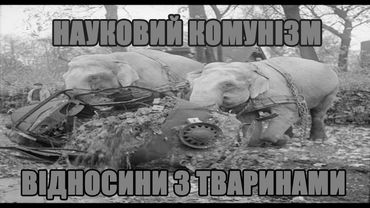 Відносини з тваринами