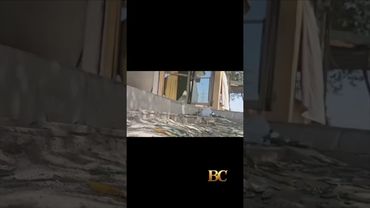 Pakistan blames India for suspected suicide attack on school bus