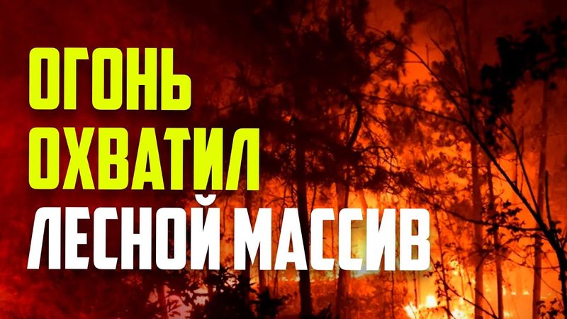 В Турции пожар перекинулся на лесной массив