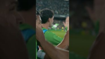 CUCHO from the heights! 📹