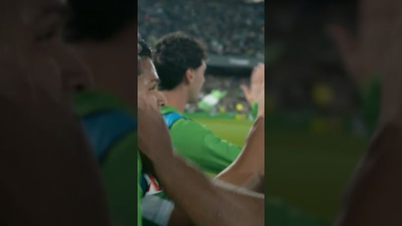 CUCHO from the heights! 📹