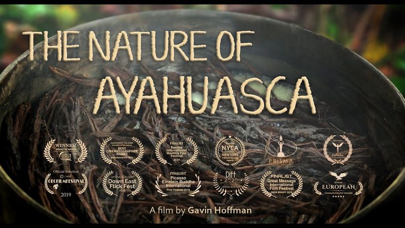 La nature de l'ayahuasca (2019)
