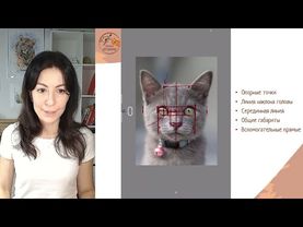 урок 1 теория