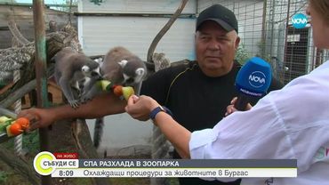 СПА в зоопарка: Охлаждащи процедури за животните в Бургас