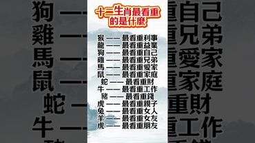 ✅ 十二生肖最看重什麼？快留言你的生肖，看準不準！