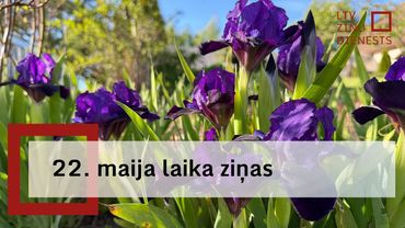22. maija laika ziņas