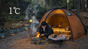 Hot Tent Camping in Forest with My Dog . Roast Fish in the Wild . Wood Stove ASMR