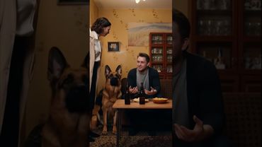 Сколько он выпил Сдала хозяина Прикол Юмор Смех