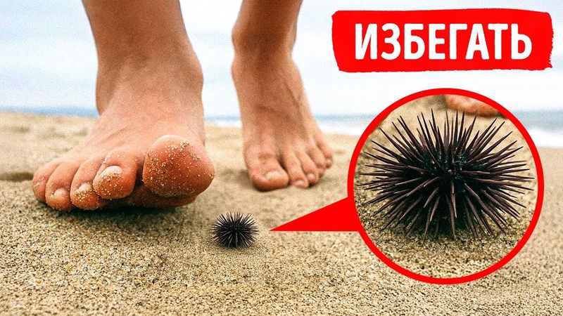 Если вы наступите на это, убежать может быть уже слишком поздно