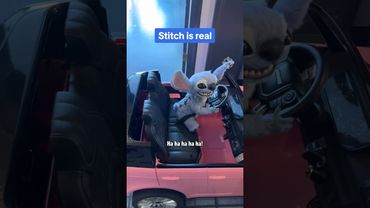 Stitch drives himself to the Lilo & Stitch press junket