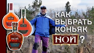 Коньяк Ной – как правильно выбрать? Армянские коньяки Ной Классик, Ной Араспел и Ной Традиционный
