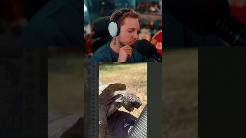 кореш в жизни #стинт #stint #stintik #прикол #реакция