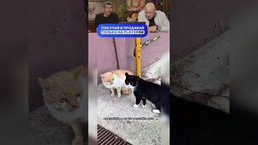 САМАЯ НЕОЖИДАННАЯ КОНЦОВКА 🤣😂