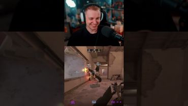 пингвины #стинт #stint #stintik #прикол #реакция