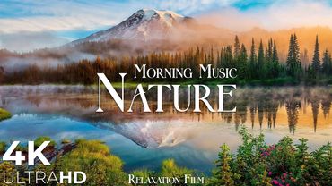 Morning Music in Nature 4K Ultra HD • Relaxation Film | Calm Piano