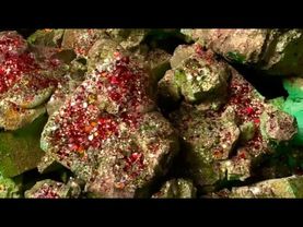 Metallic Powder on Green Dyed Chalk 💚