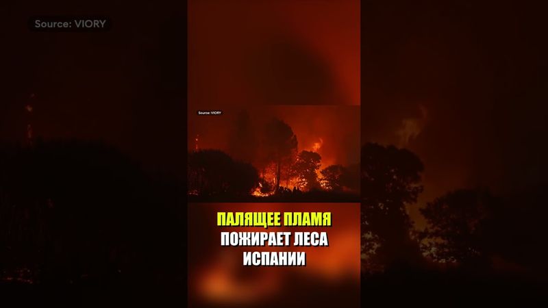 Лесные пожары в Испании: выжжены десятки тысяч гектаров земли