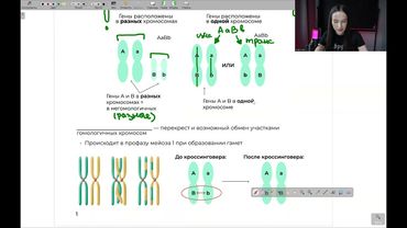 Реанимация. День 5 | тгк: biowithbear