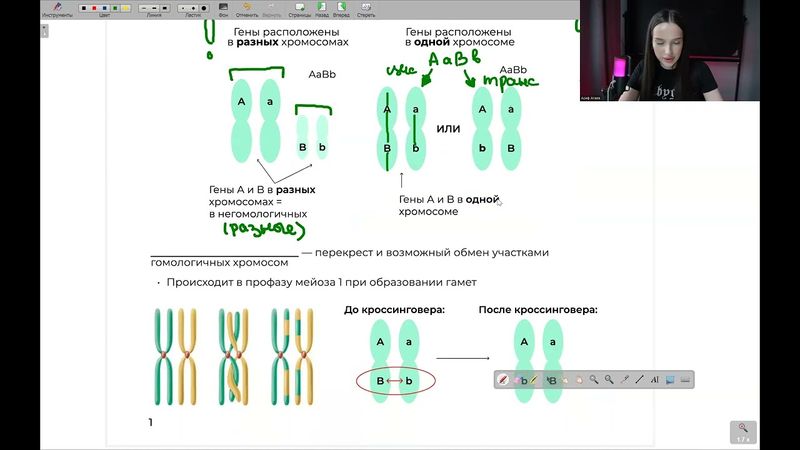 Реанимация. День 5 | тгк: biowithbear