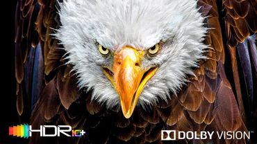 باورتان نمی‌شود اما این ویدیوی 4K واقعی است HDR Dolby Vision - ویدیوی 8K ULTRA HD