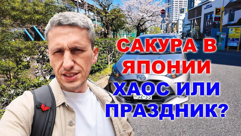 🎌 САКУРА В ЯПОНИИ — ХАОС ИЛИ ПРАЗДНИК? Почему я НЕ ЛЮБУЮСЬ цветением в Токио в 2025