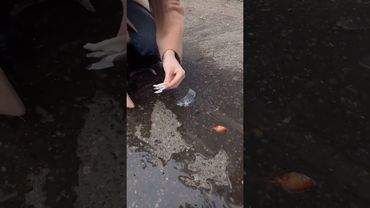 Bu yaratıcı lastik hilelerine bir göz atın!