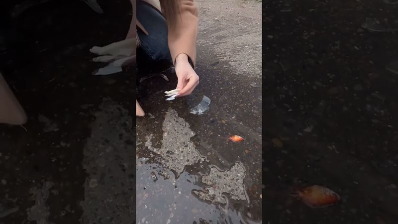 Bu yaratıcı lastik hilelerine bir göz atın!