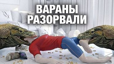 Он считал их семьёй: 6 случаев, когда животные превратили любовь в кошмар