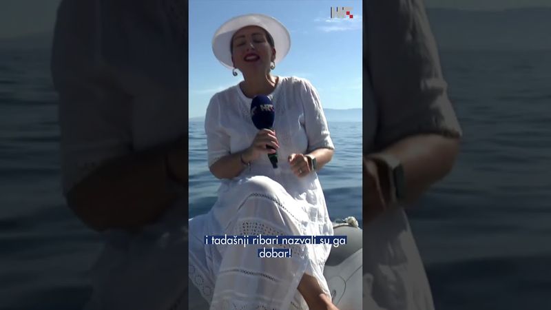 Vinko je najpoznatiji dupin Jadrana 🐬