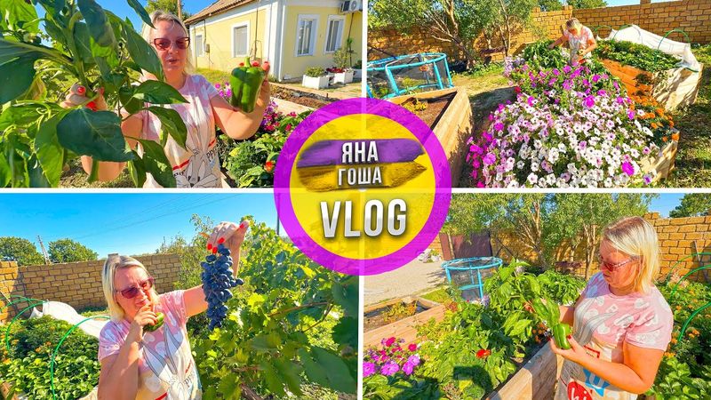 Вырастили свой перец! Сами в шоке! Волшебные высокие грядки на которых всё растет само!