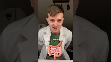 Факты про кишечник