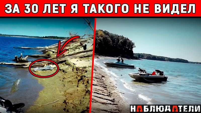 У меня до сих пор мурашки по коже, когда я об этом вспоминаю. Так описал это дело детектив.