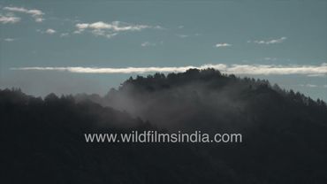 Misty, rainy, cloudy and mysterious, water everywhere, rainbows when the sun comes out: Landour