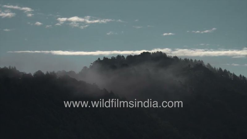 Misty, rainy, cloudy and mysterious, water everywhere, rainbows when the sun comes out: Landour
