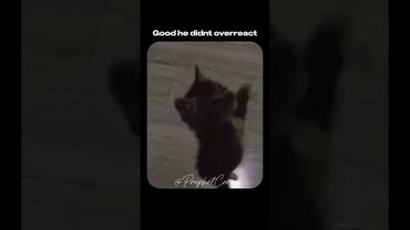 His greed was consuming him.