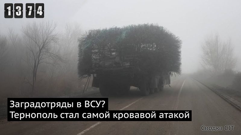 День 1374. Пожизненное за чужую операцию. По Новороссийску ударили и свои, и чужие