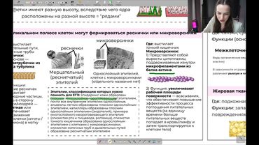 Реанимация. День 8 | тгк: biowithbear