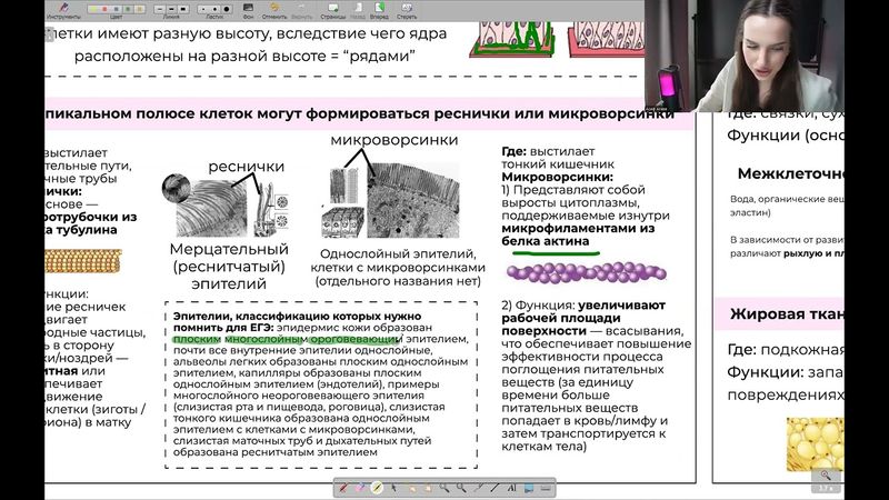 Реанимация. День 8 | тгк: biowithbear