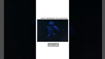 أقوال توماس شلبي معلومات/أستوريات أنستا/حالات واتس أب /أستوريات حماسية/ مملكه العلم / قصص واقعية