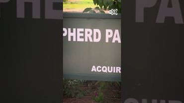 Pct. 1 deputy constables looking for man who allegedly tried to abduct woman at a park