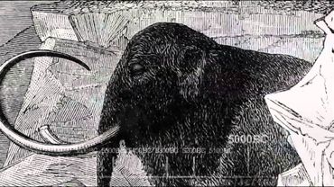 Заставка сериала «Теория большого взрыва / The Big Bang Theory»