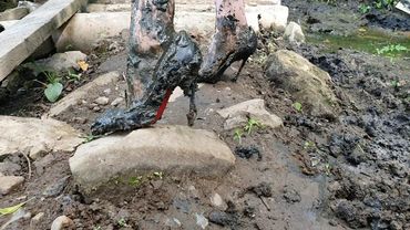 Christian Louboutin in swamp, high heels louboutin in deep mud, abused louboutin (# 226)