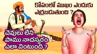 Interesting Facts in Telugu | Why Face Turns Red When Angry | snakes respond to music | Telugu Facts