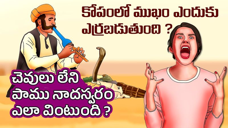 Interesting Facts in Telugu | Why Face Turns Red When Angry | snakes respond to music | Telugu Facts